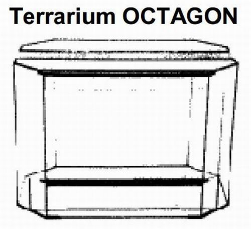 Achteckiges Terrarium ca.260 Liter Octagon 100x50x65